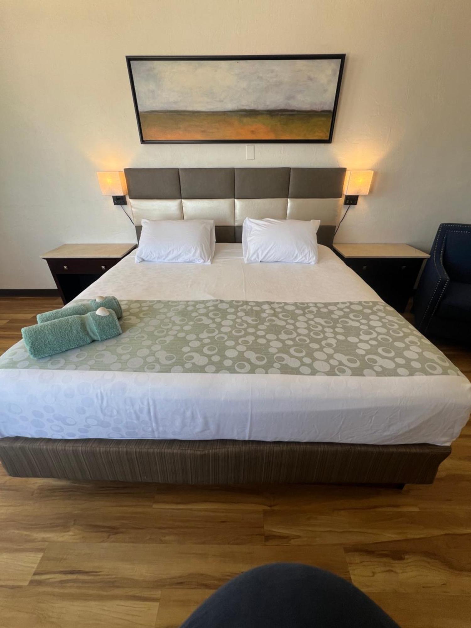 Flamingo Inn Beachfront - Дейтона-Біч Екстер'єр фото