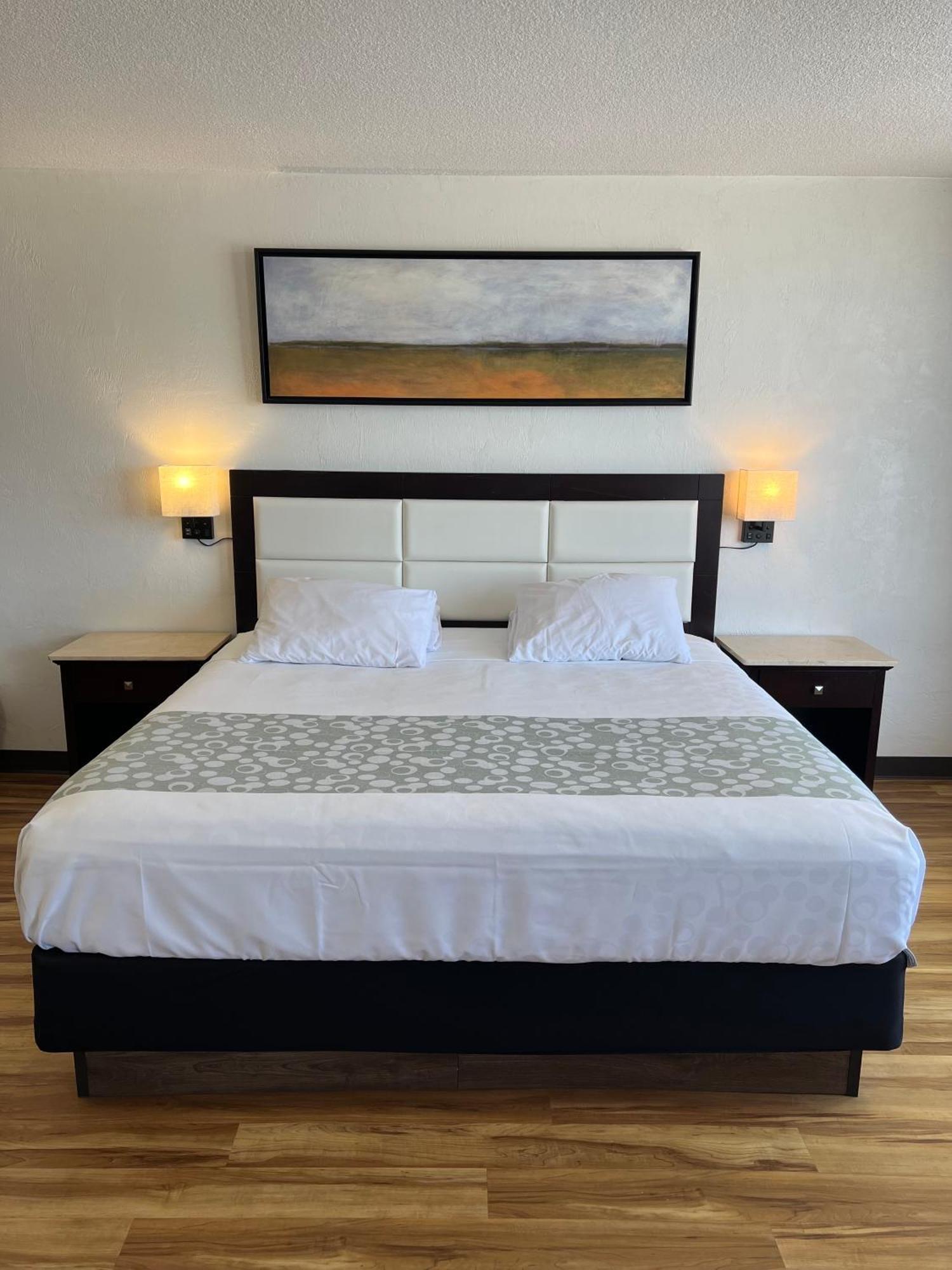 Flamingo Inn Beachfront - Дейтона-Біч Екстер'єр фото
