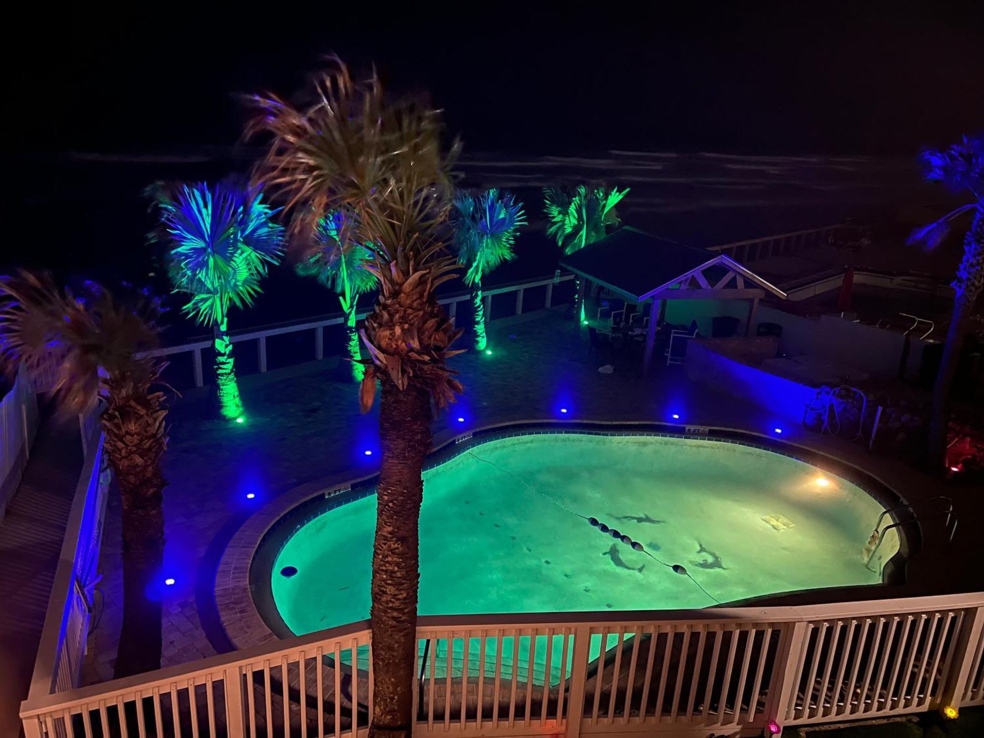 Flamingo Inn Beachfront - Дейтона-Біч Екстер'єр фото
