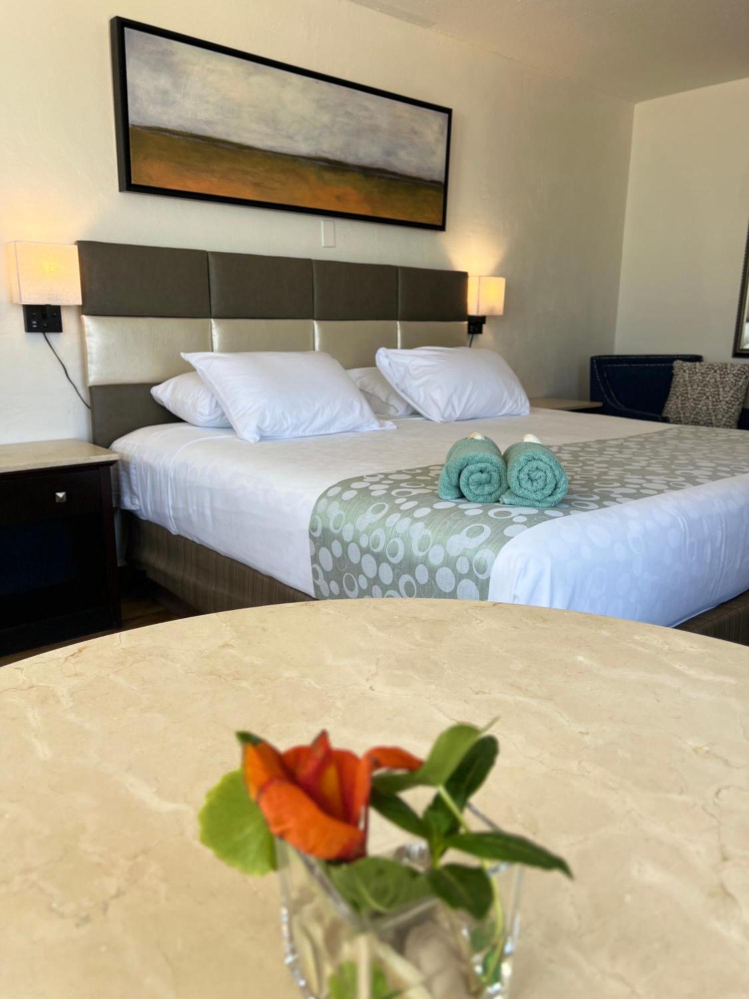 Flamingo Inn Beachfront - Дейтона-Біч Екстер'єр фото