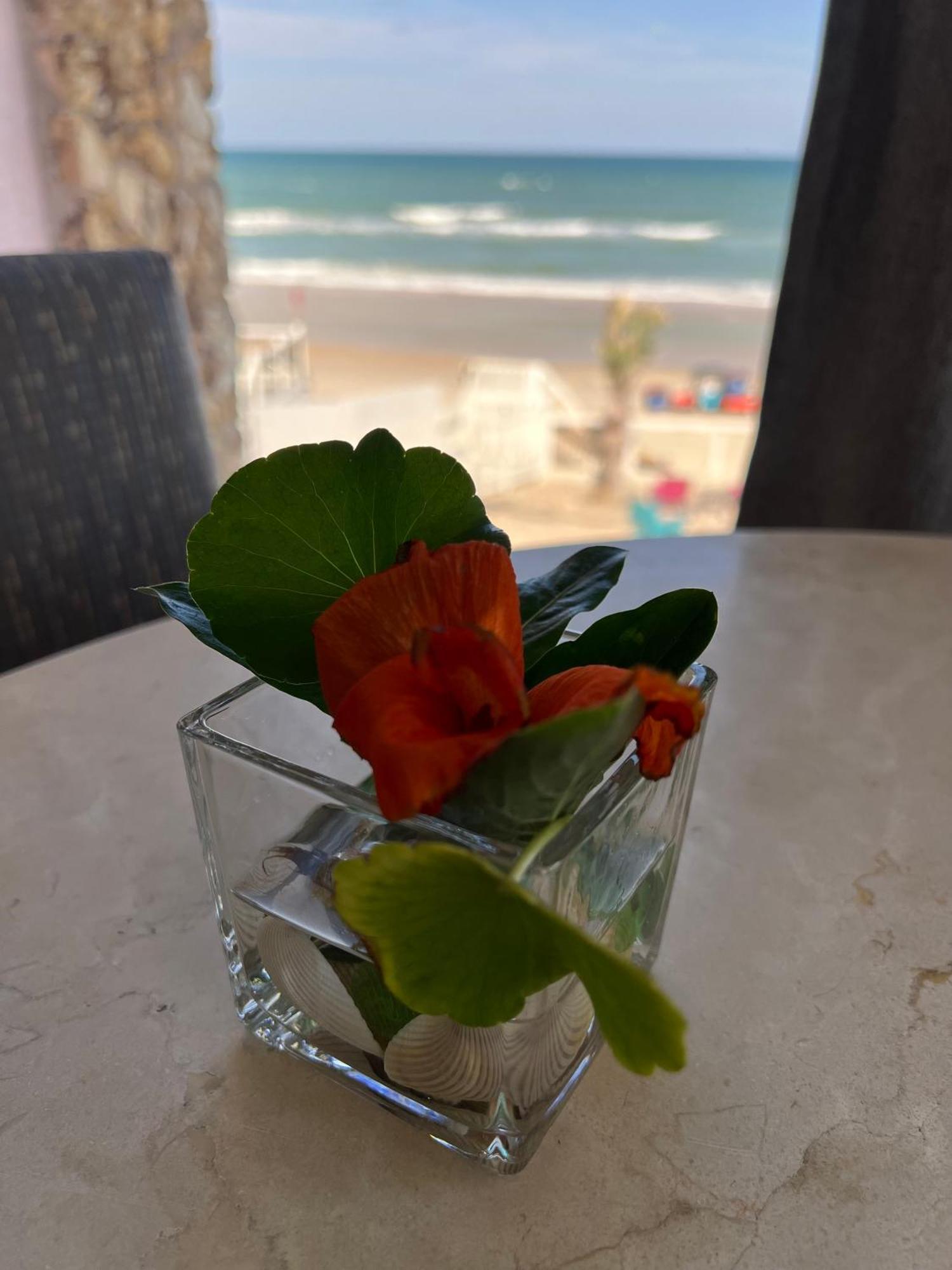 Flamingo Inn Beachfront - Дейтона-Біч Екстер'єр фото