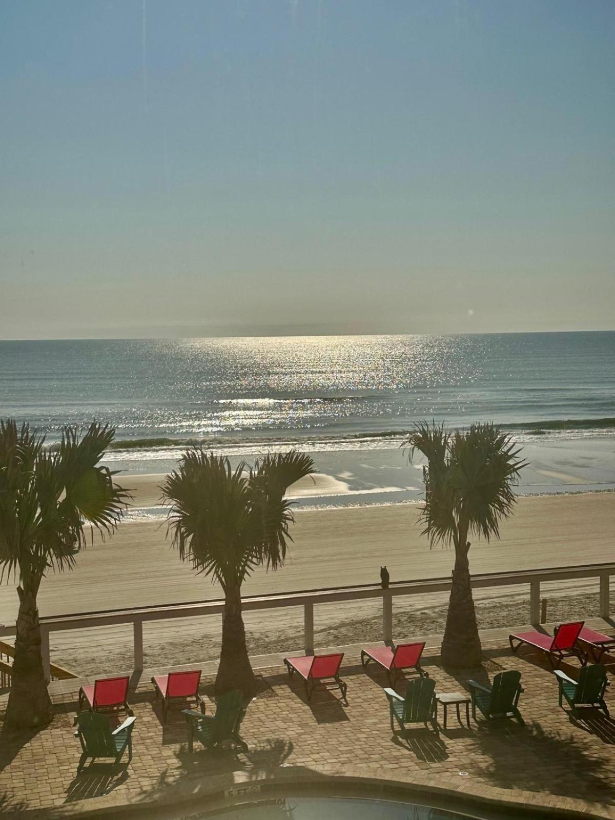 Flamingo Inn Beachfront - Дейтона-Біч Екстер'єр фото