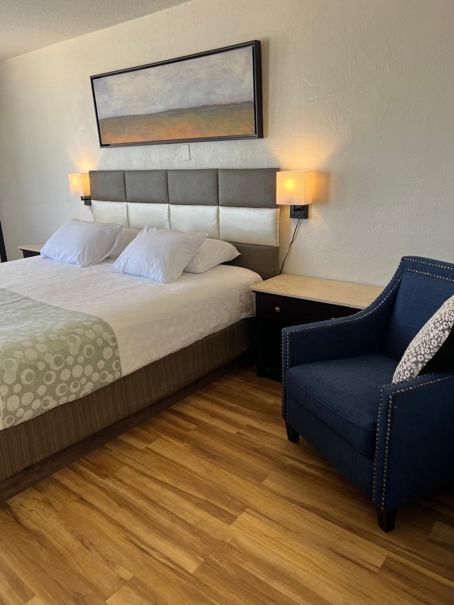 Flamingo Inn Beachfront - Дейтона-Біч Екстер'єр фото